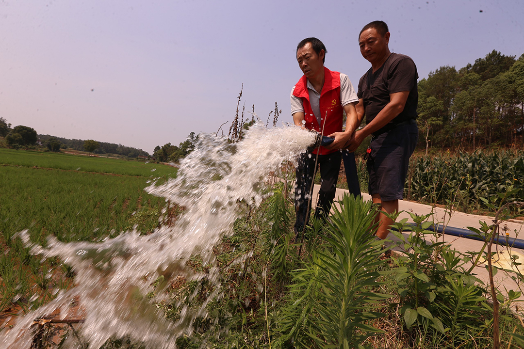 El Niño-Induced Heatwave Has Not Widely Damaged China Grain Crops, Experts Say